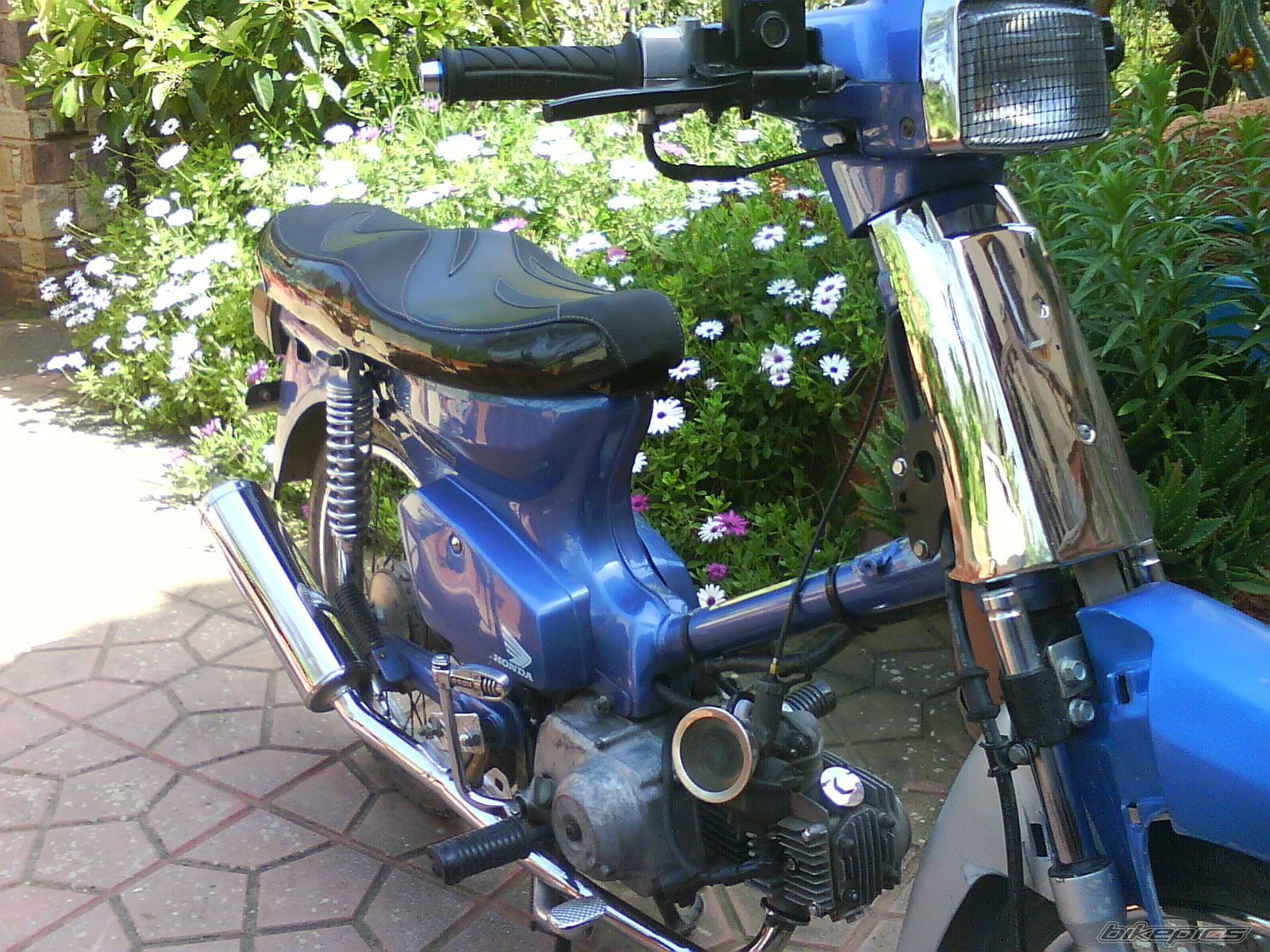 Photo 1642753