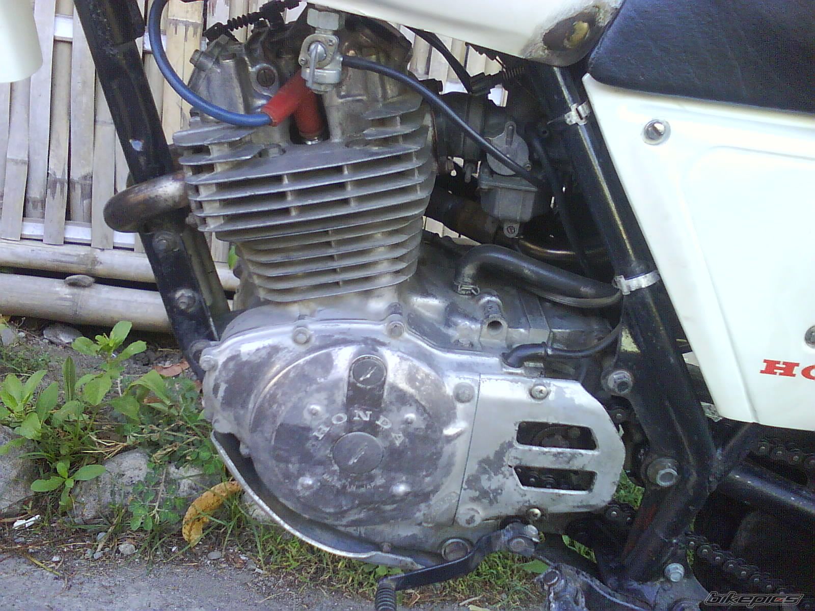 Photo 1642768