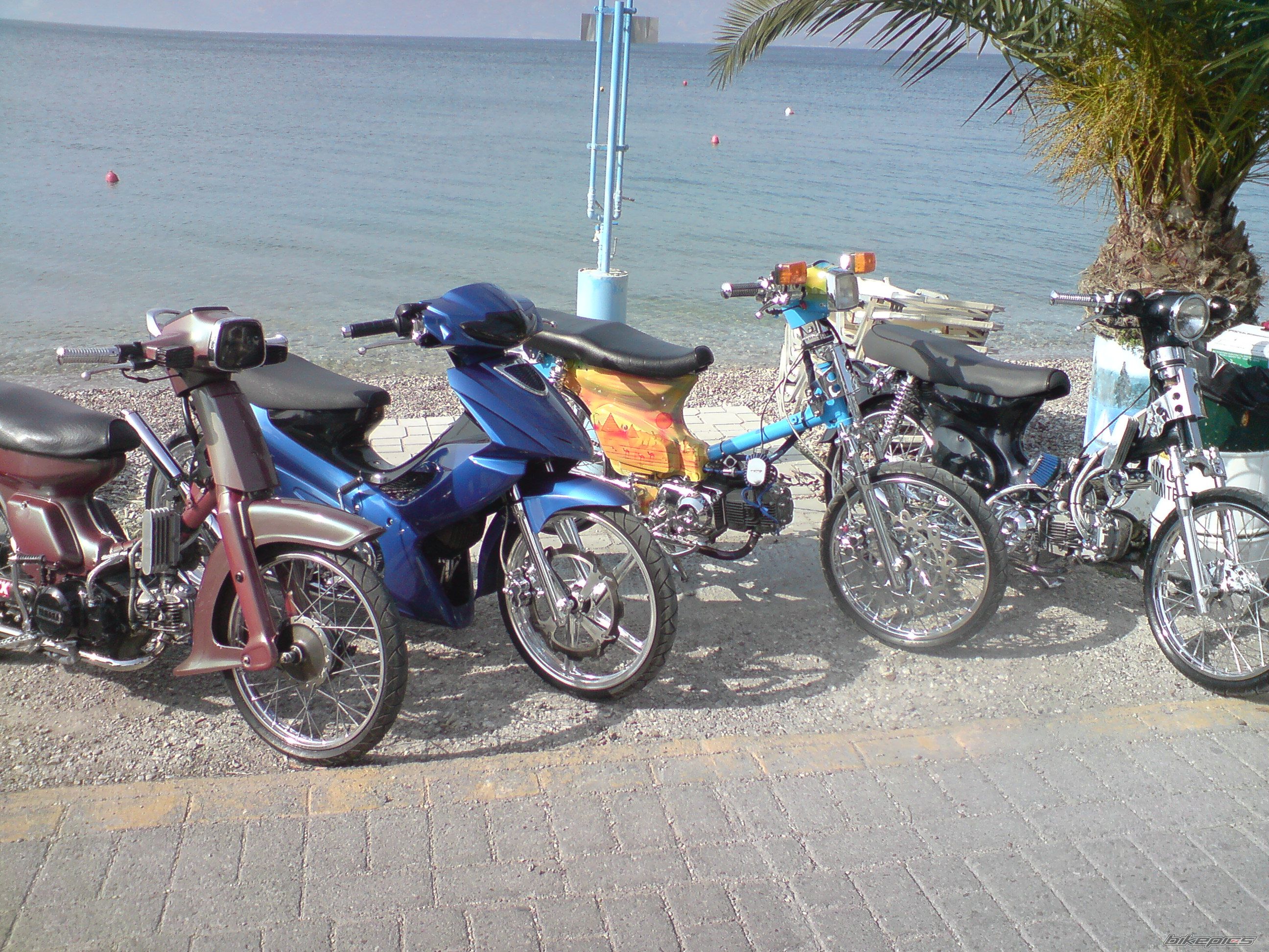 Photo 1642790
