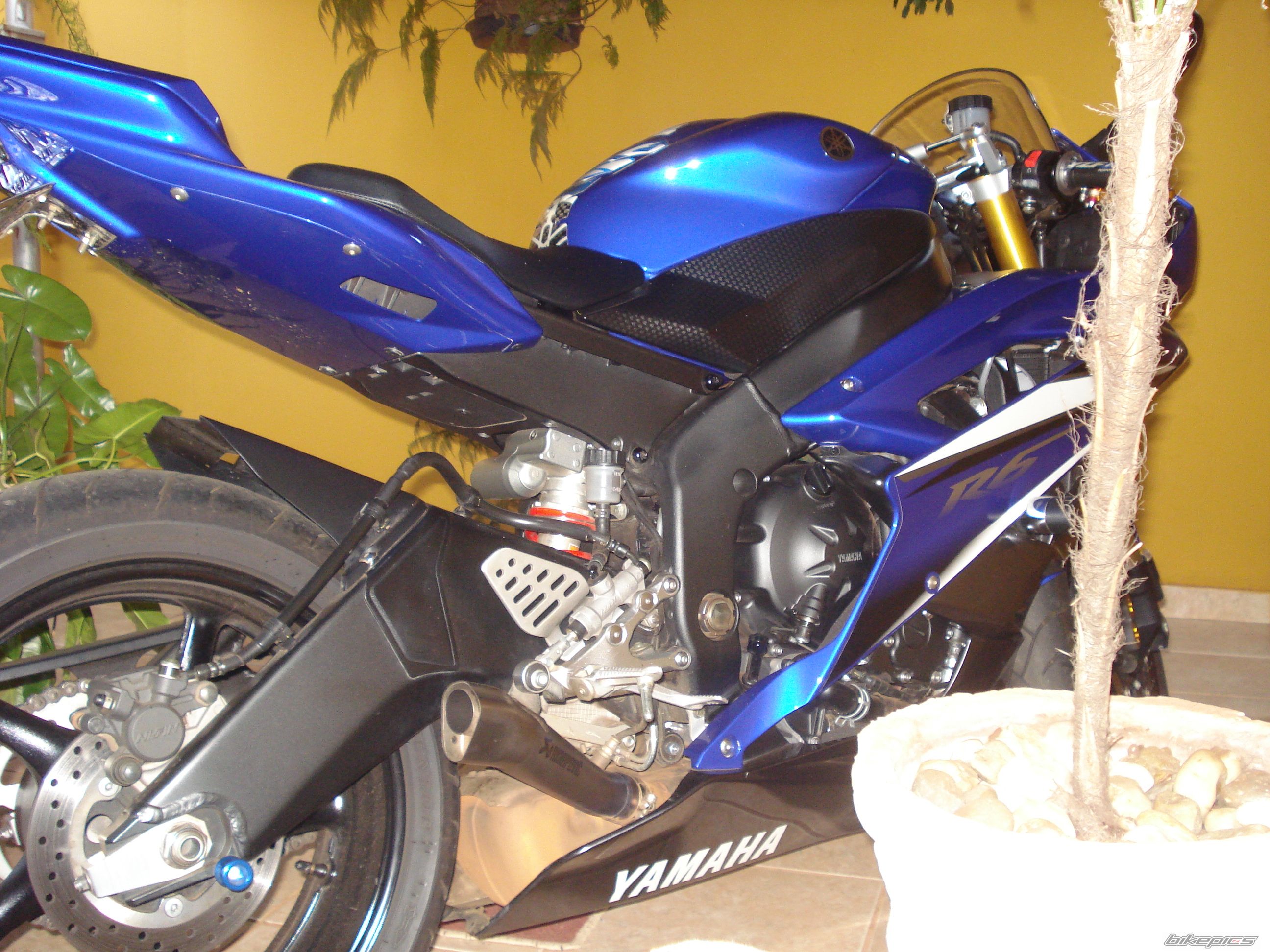 Photo 1642903