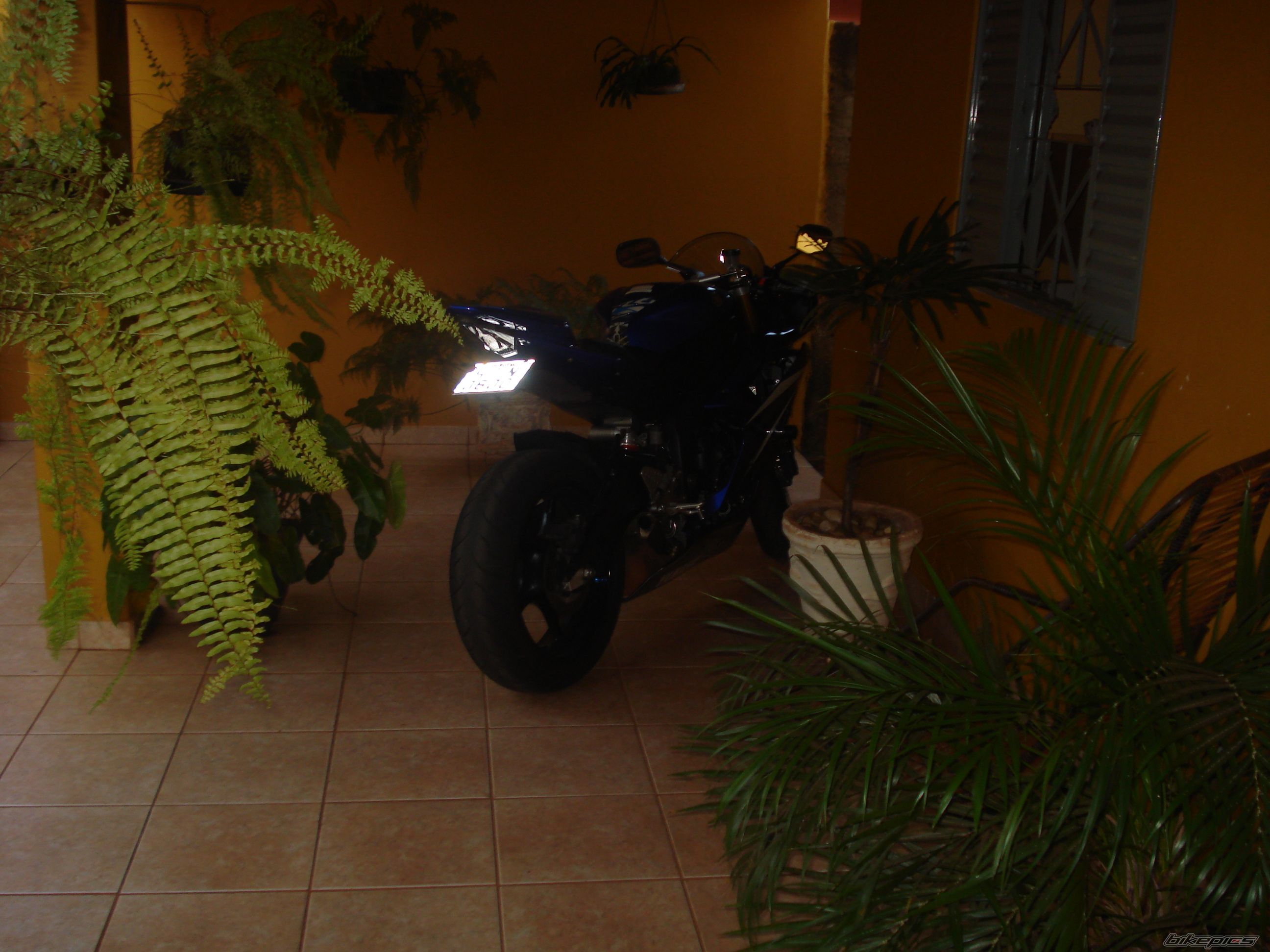 Photo 1642914