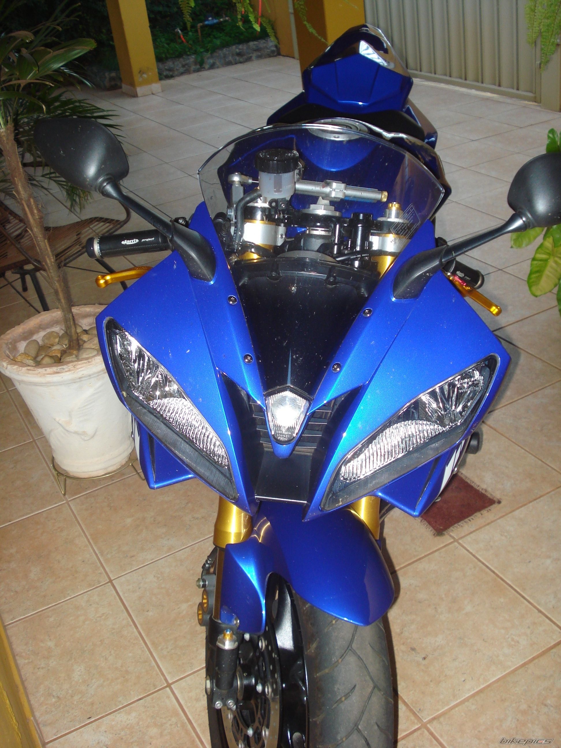 Photo 1642916