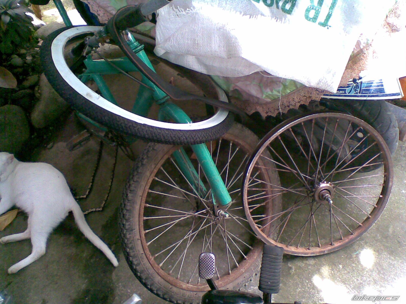 Photo 1643039