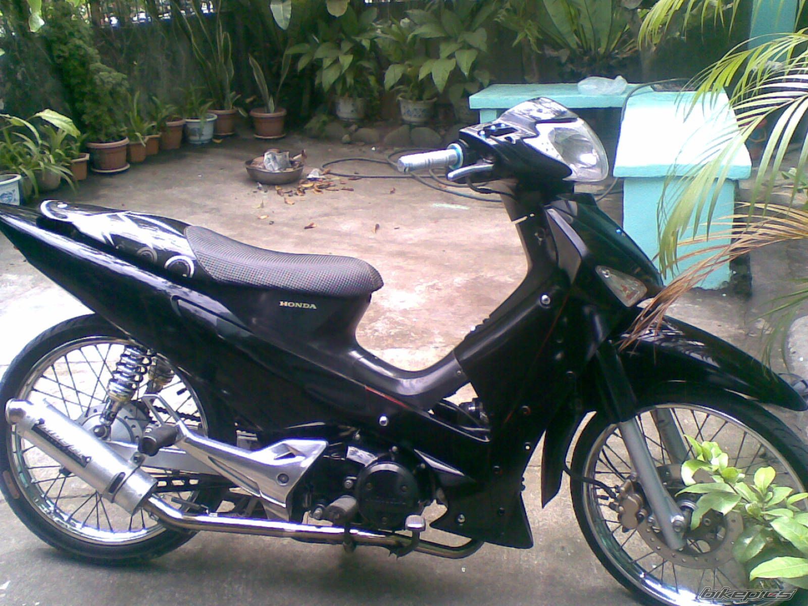 Photo 1643045