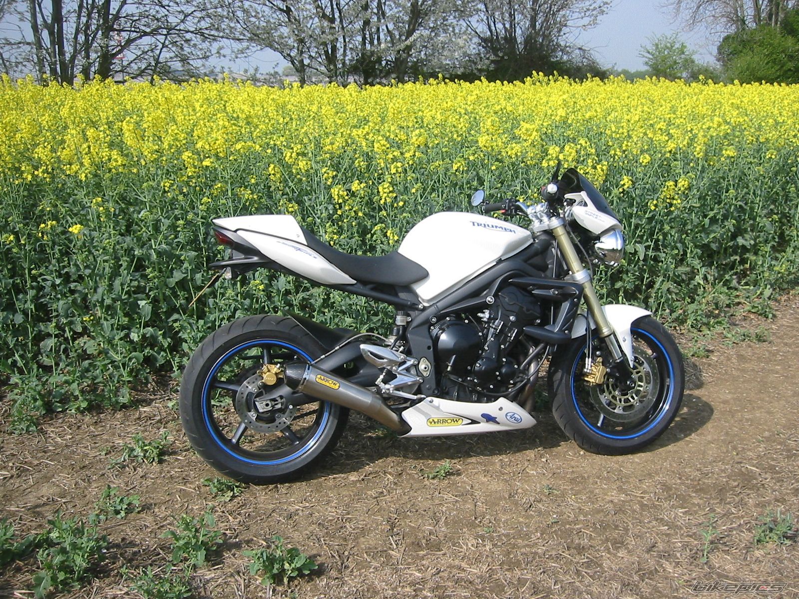 Bike Photo 1643099