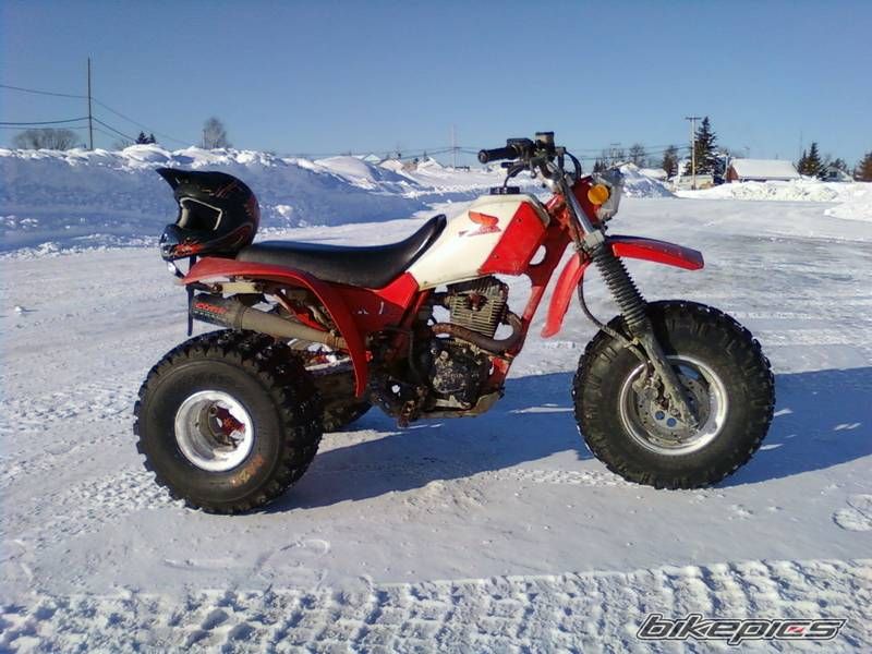 Photo 1643158