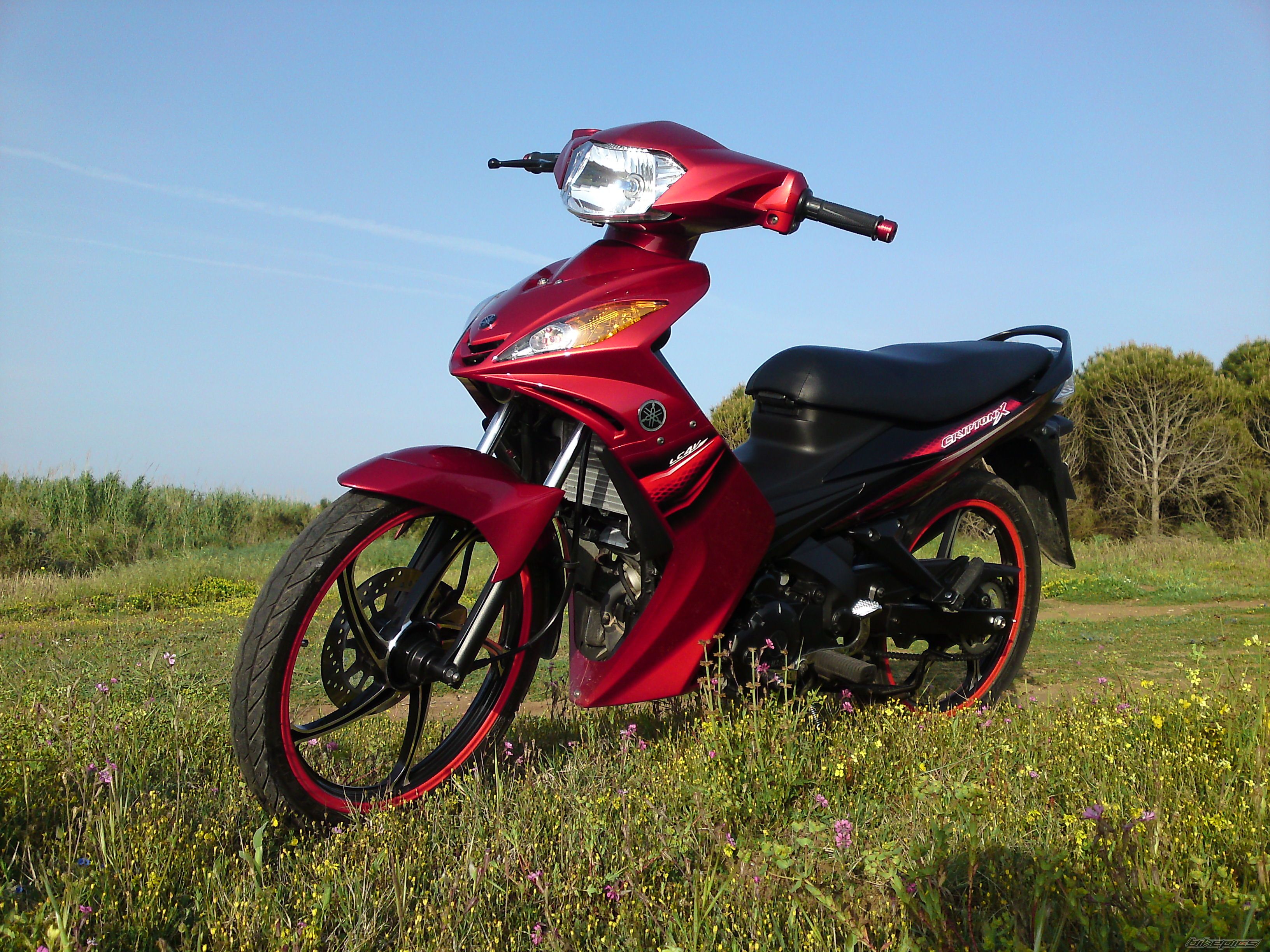Photo 1643245