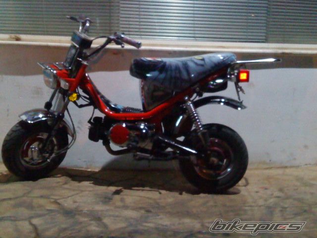 Photo 1643264