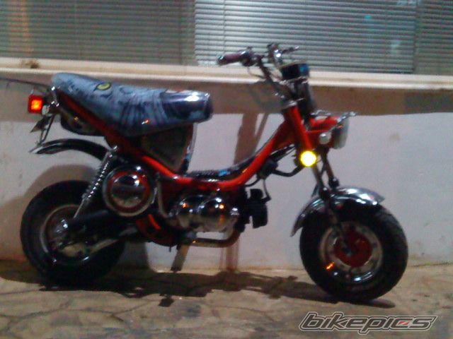 Photo 1643266