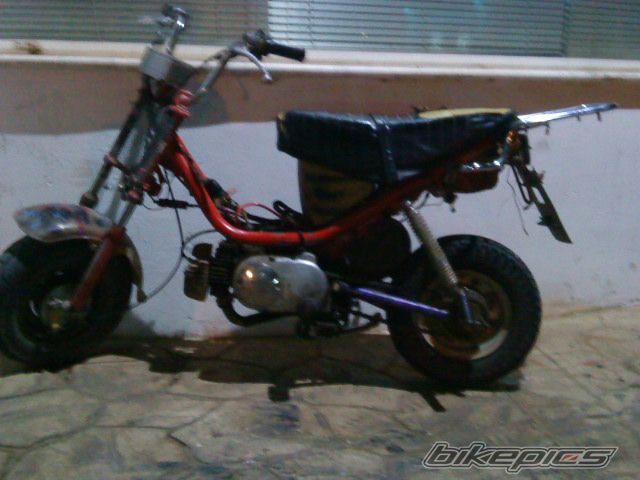 Photo 1643268