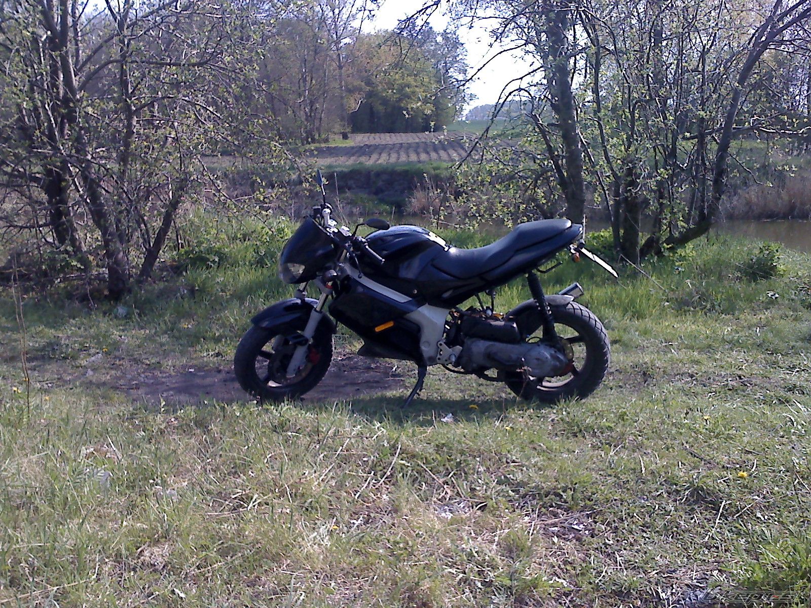 Photo 1643275