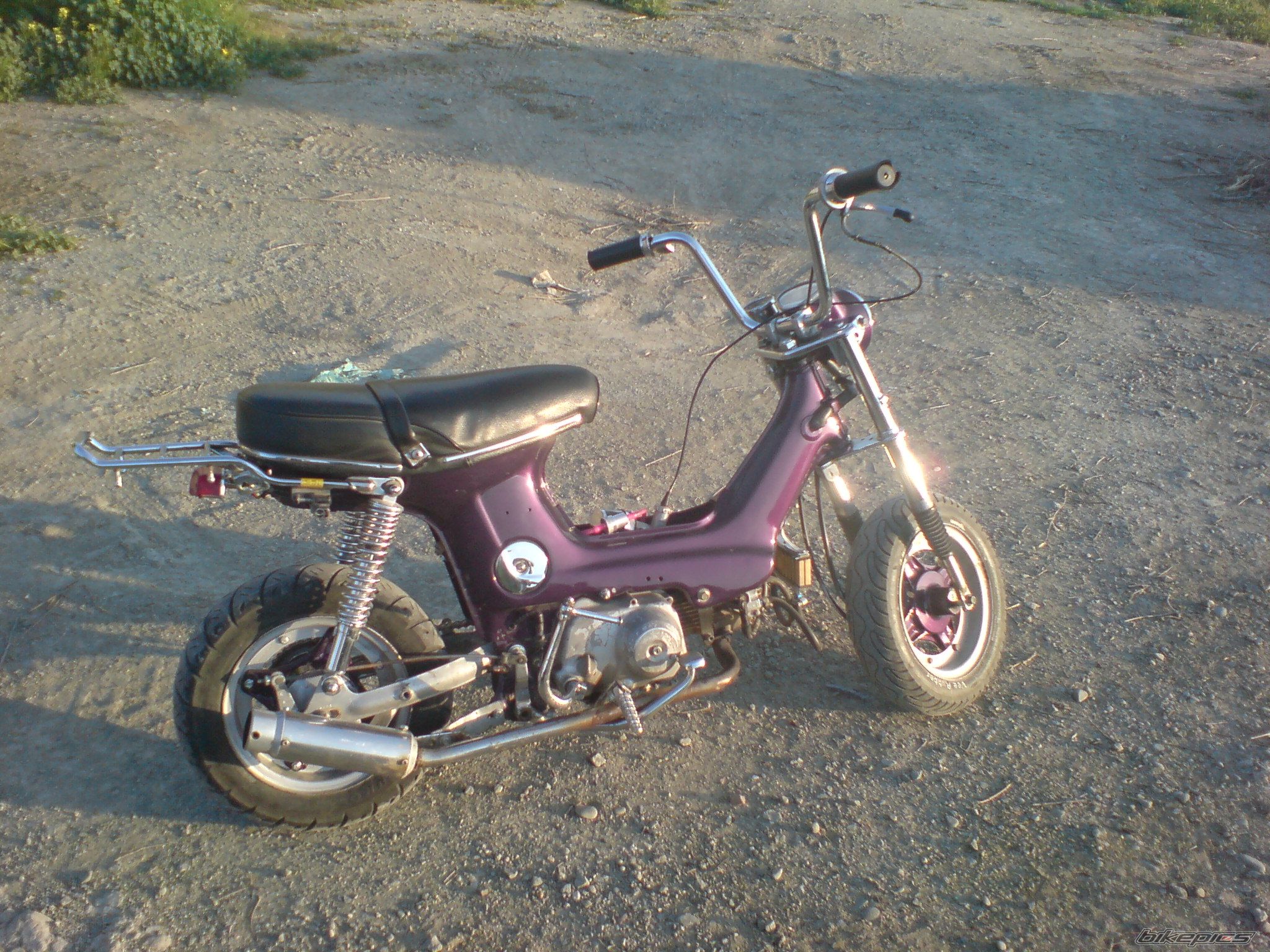 Photo 1643294