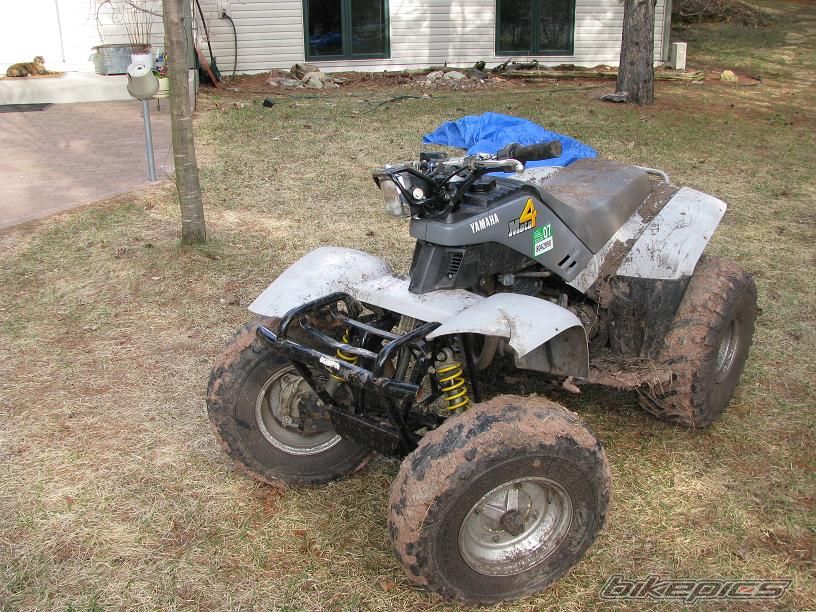 Photo 1643297