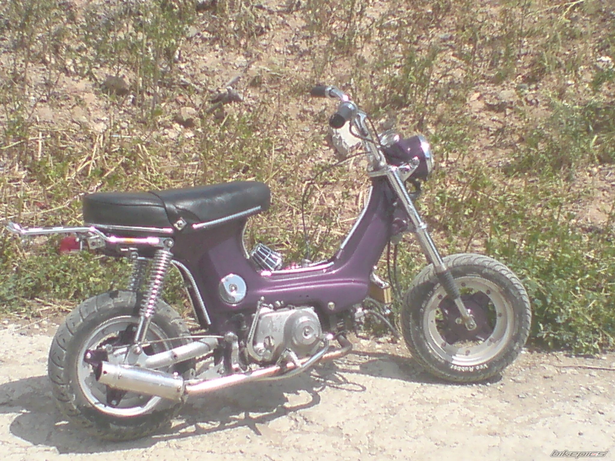 Photo 1643303
