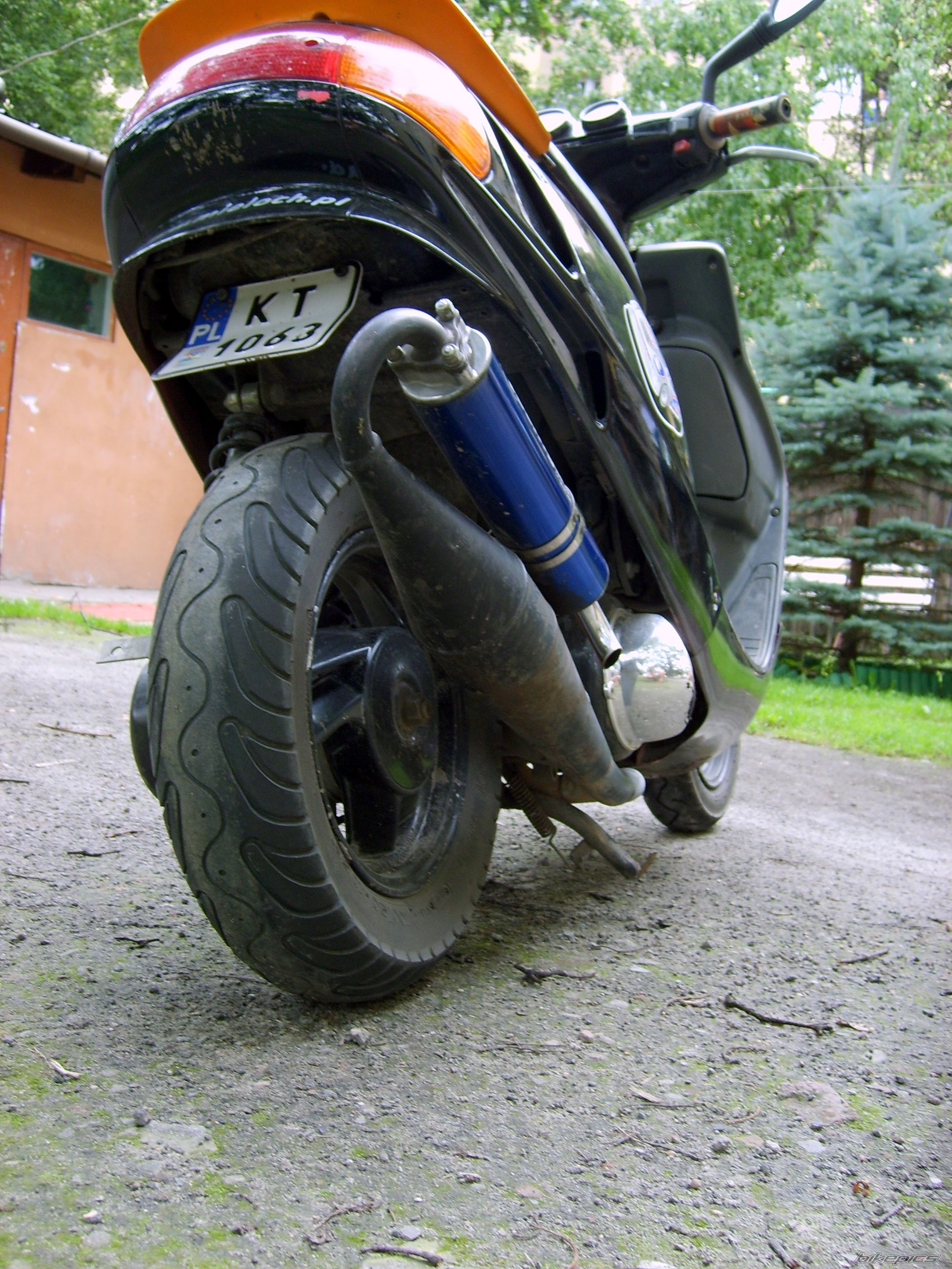 Photo 1643305