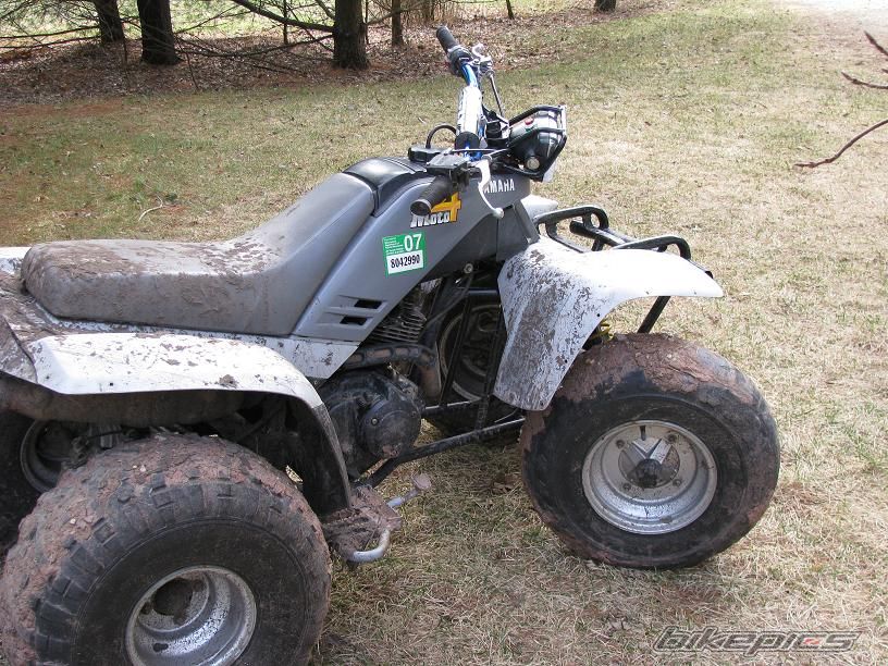 Photo 1643313