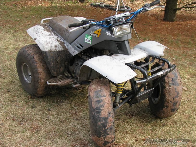 Photo 1643316