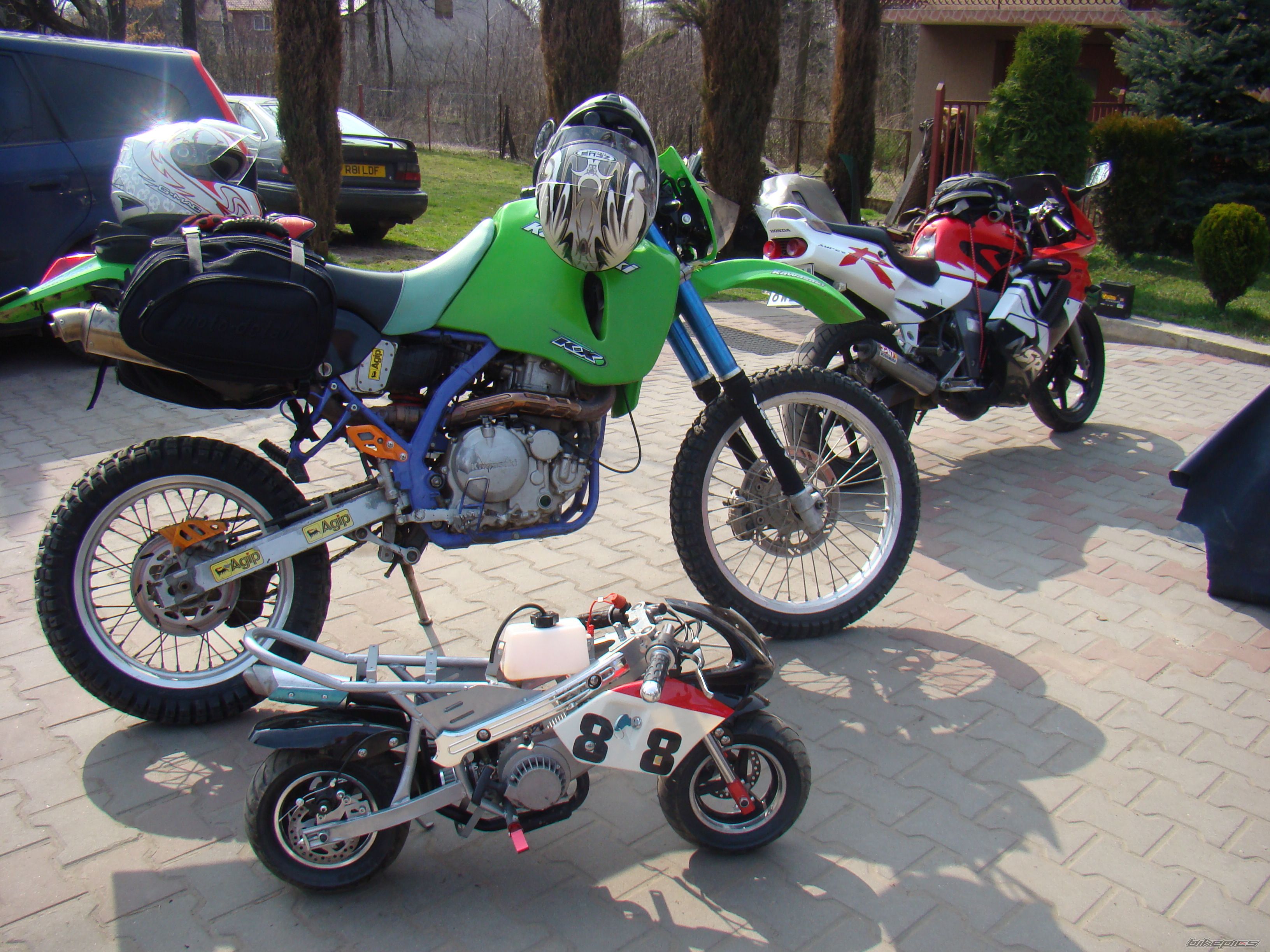Photo 1643359