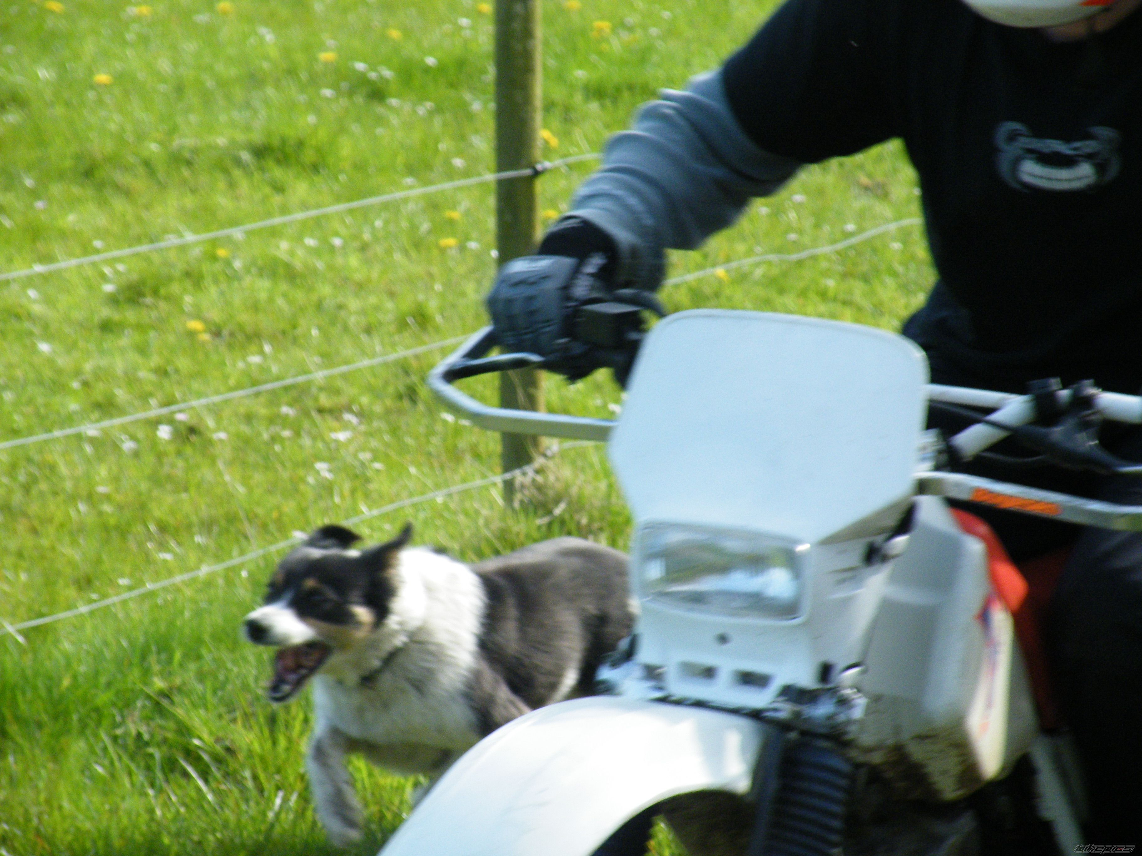 Photo 1643427
