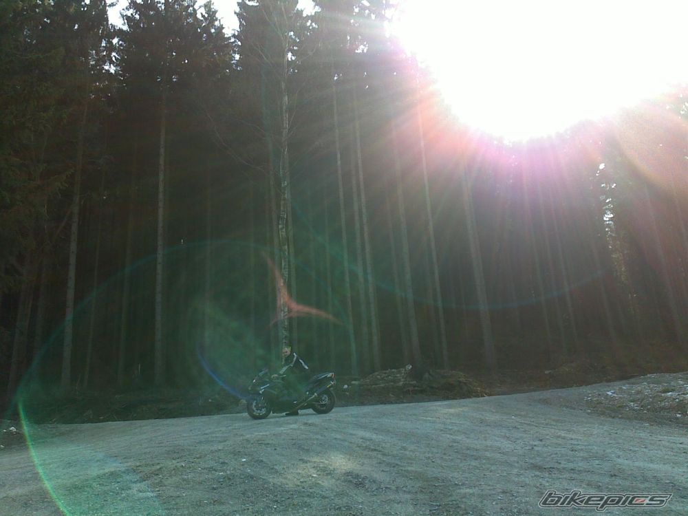 Photo 1643432