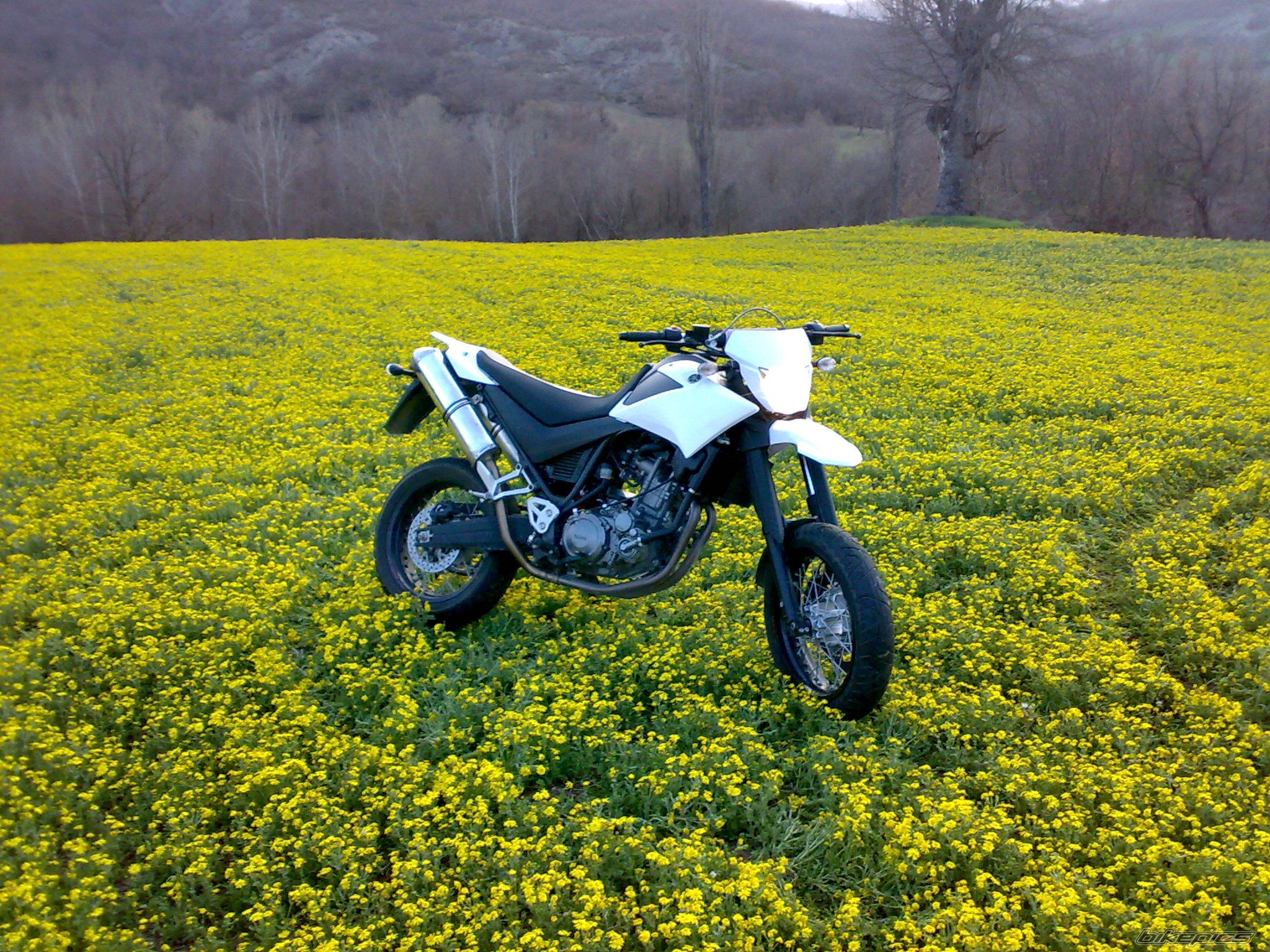 Photo 1643481