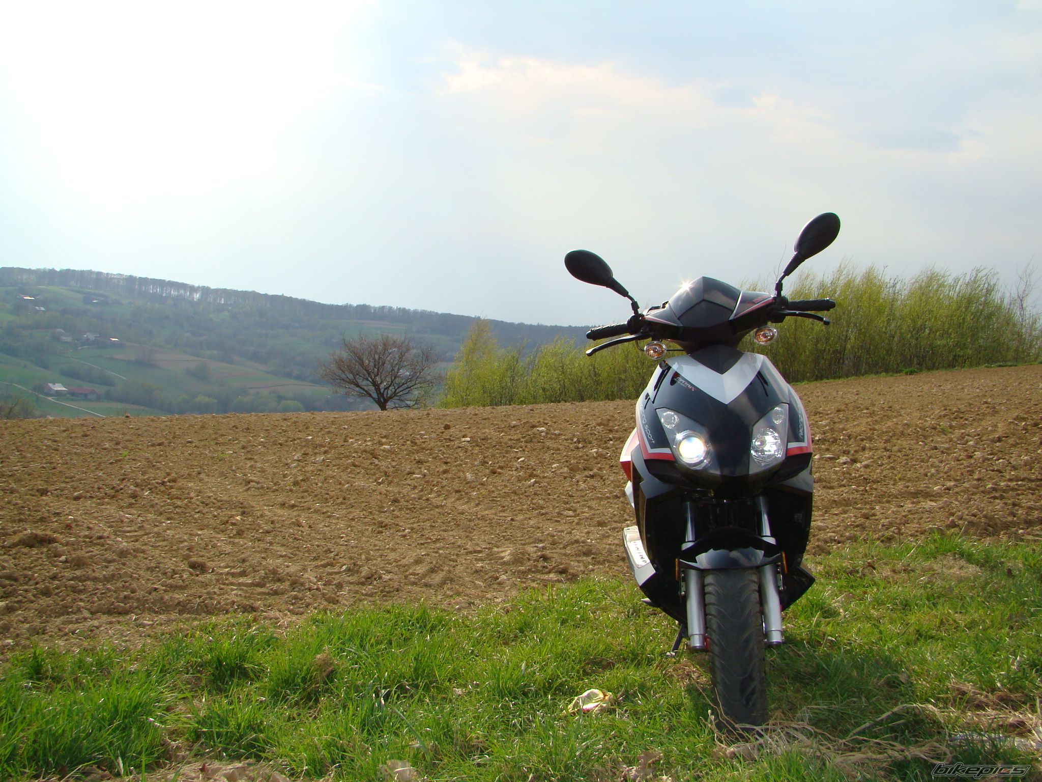 Photo 1643483