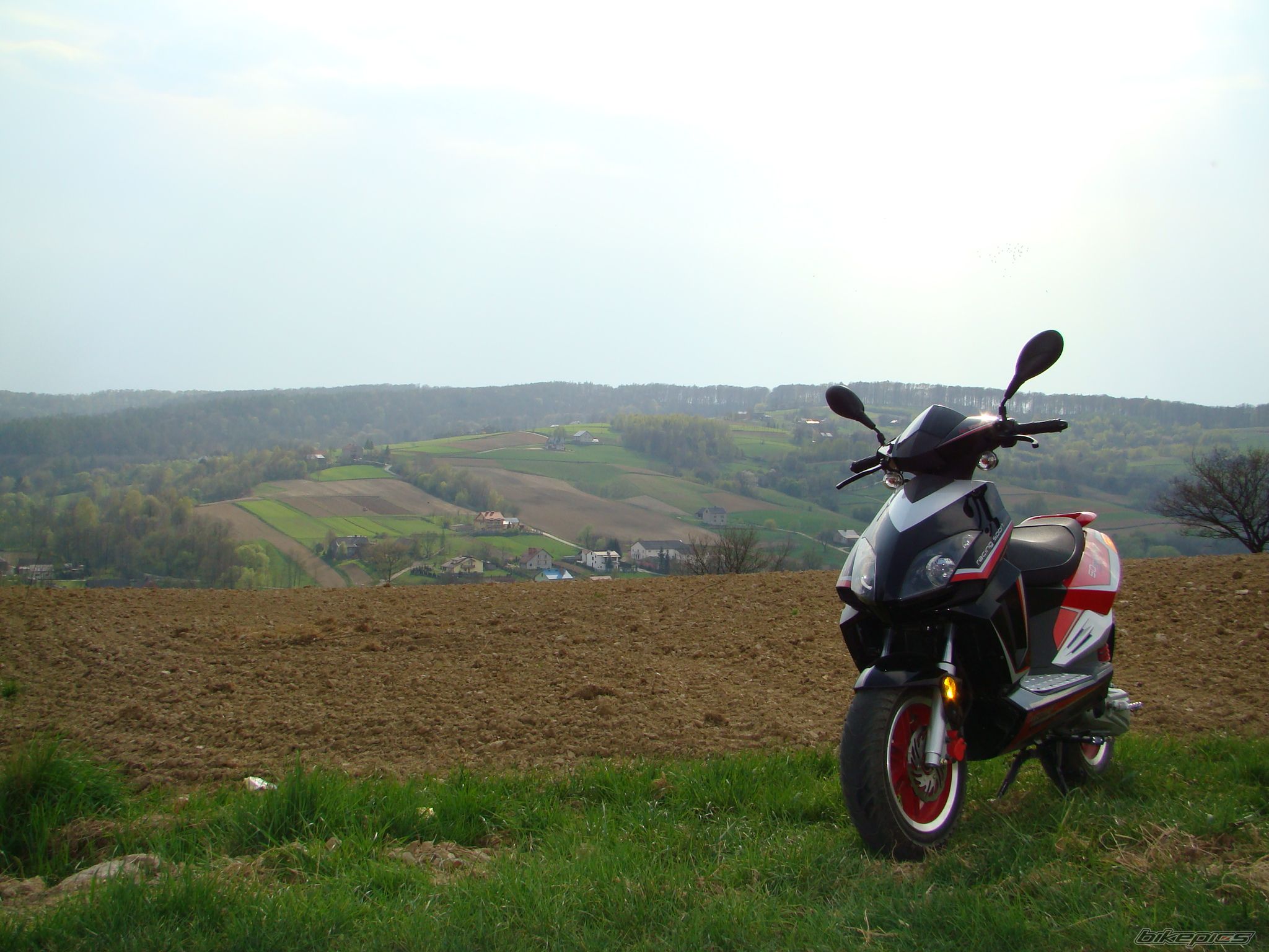 Photo 1643486