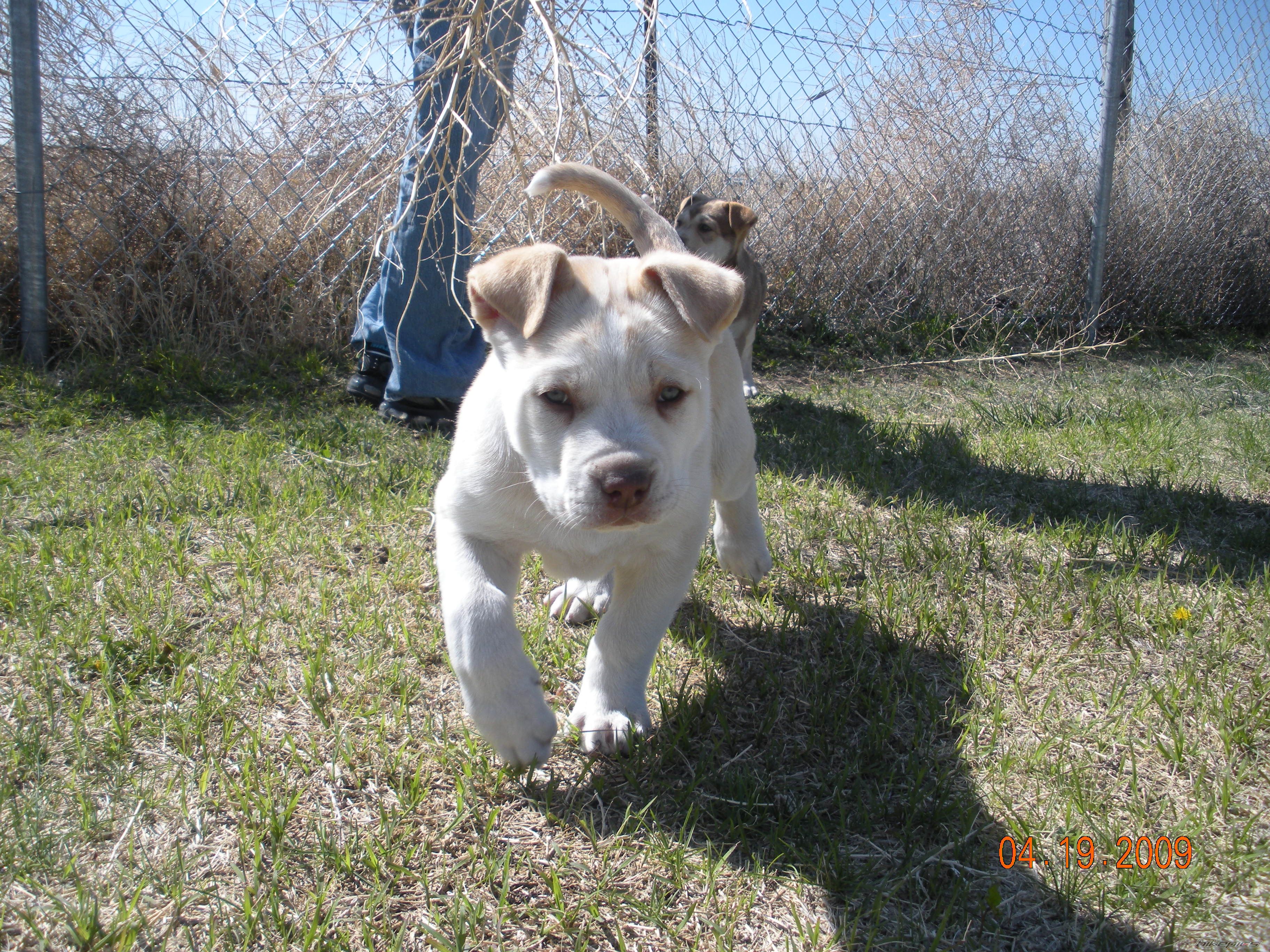 Photo 1643648