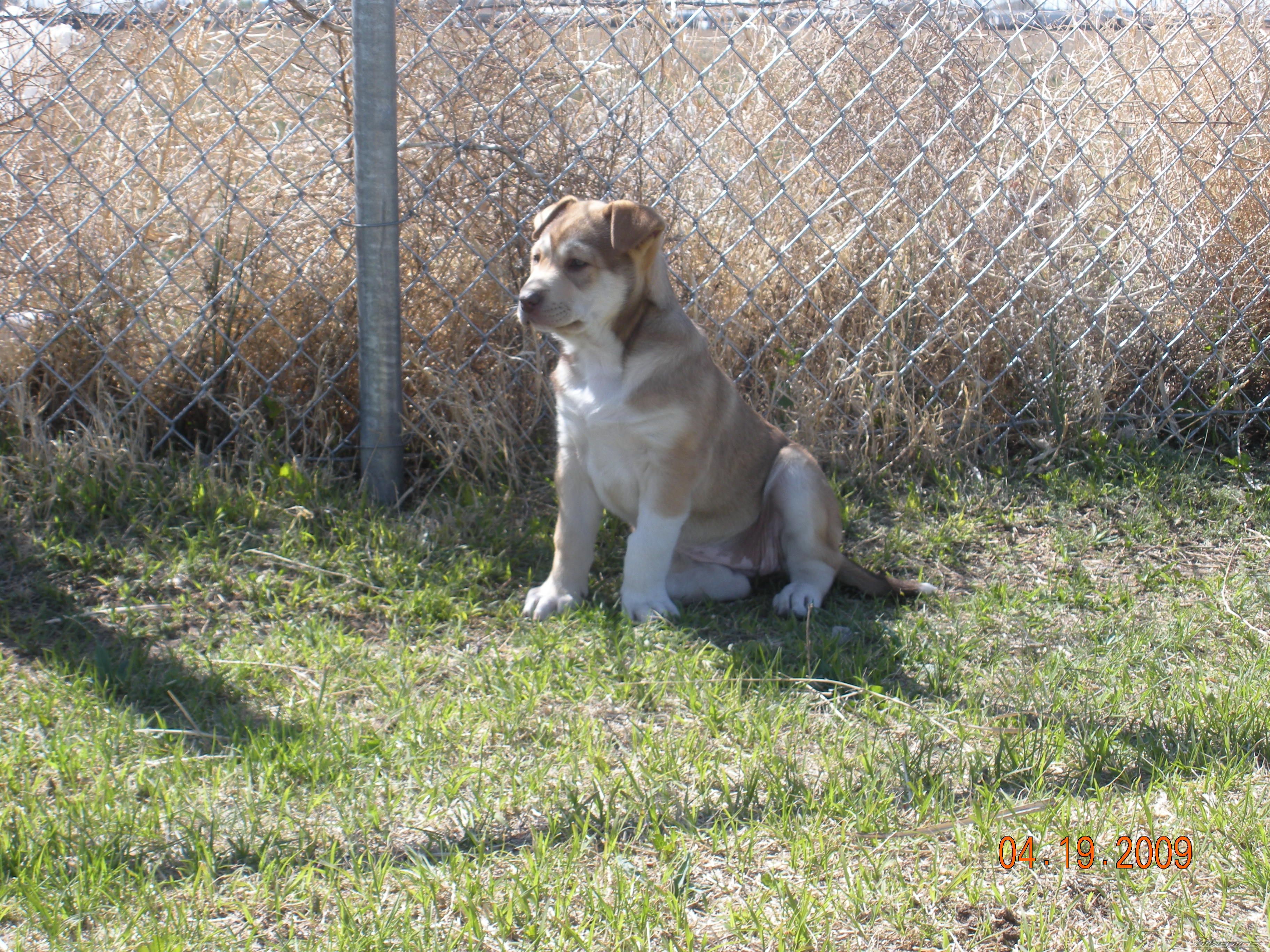 Photo 1643649
