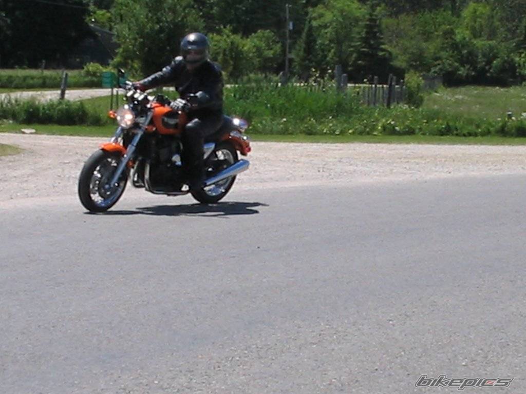 Photo 164365