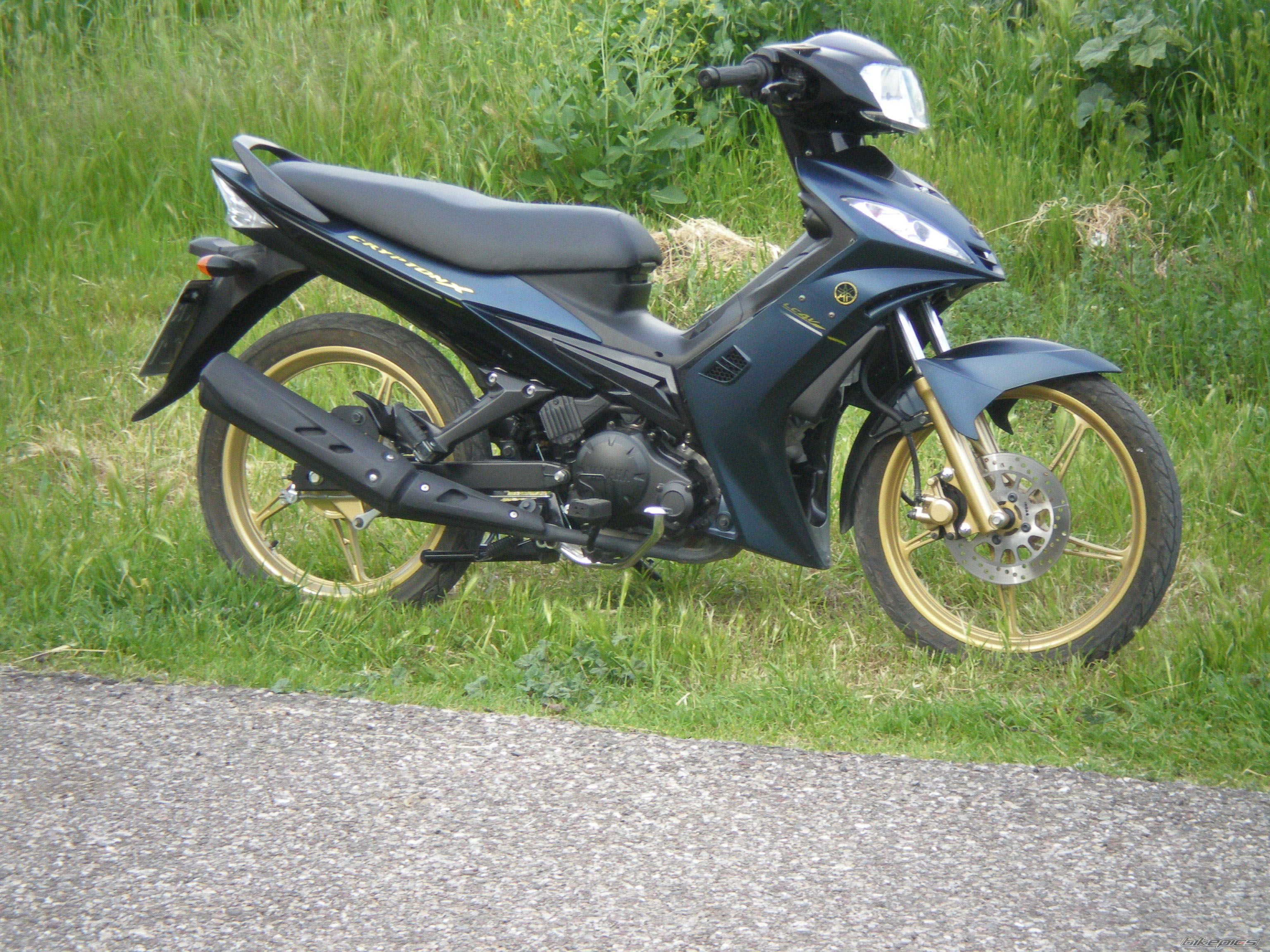 Photo 1643682