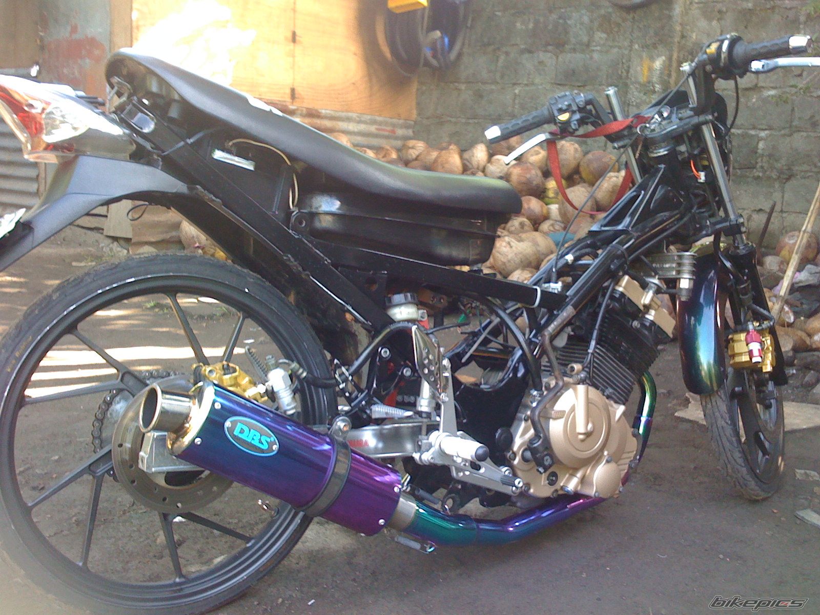 Photo 1643689