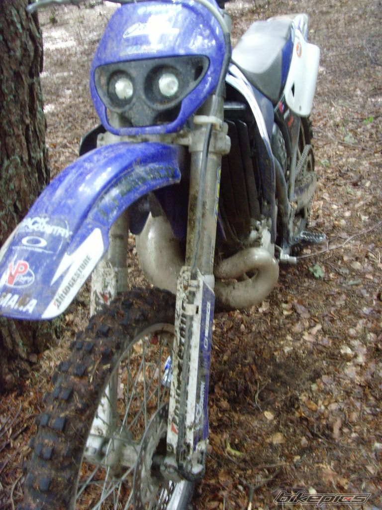 Photo 1643713
