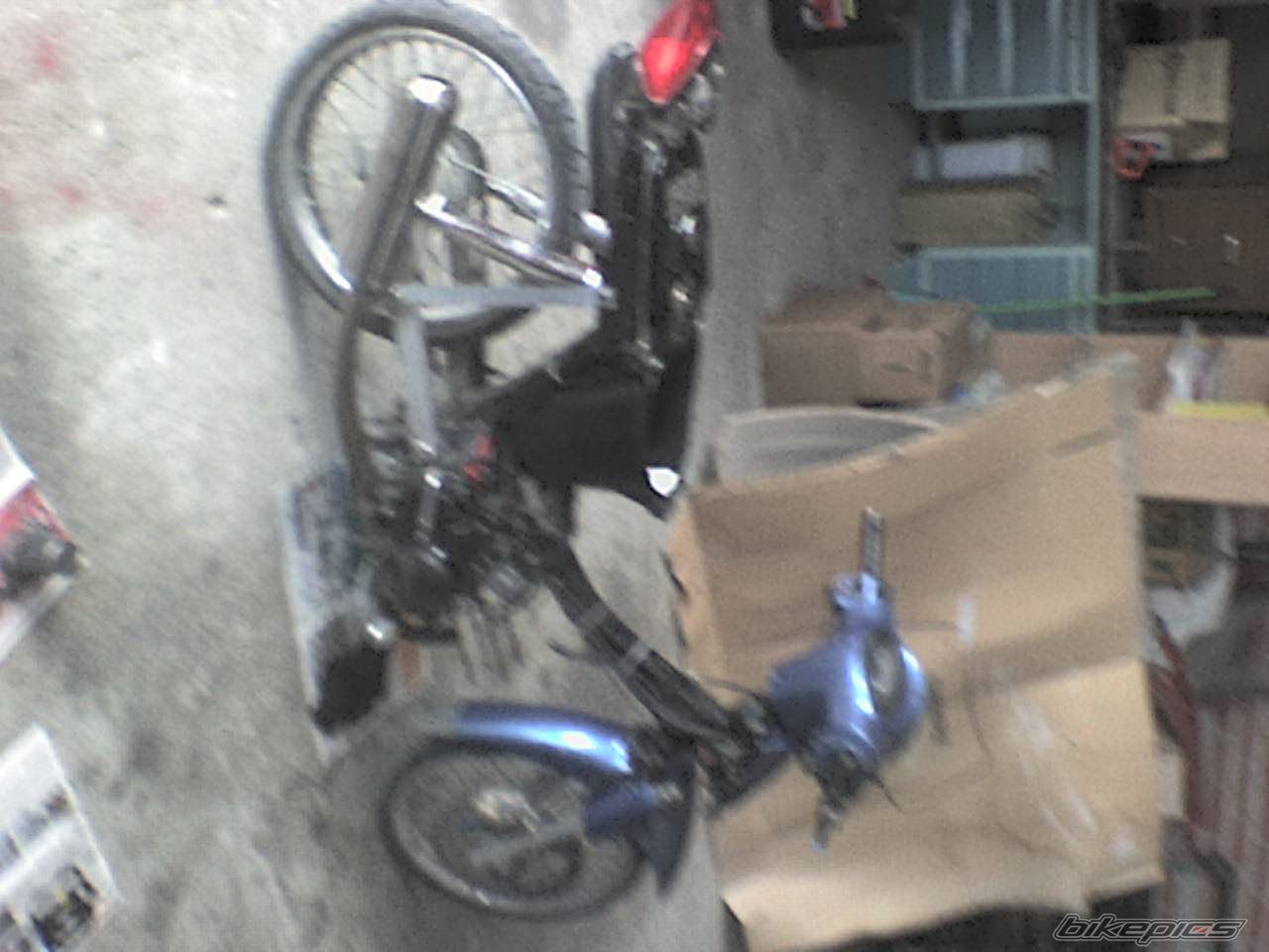 Photo 1643729