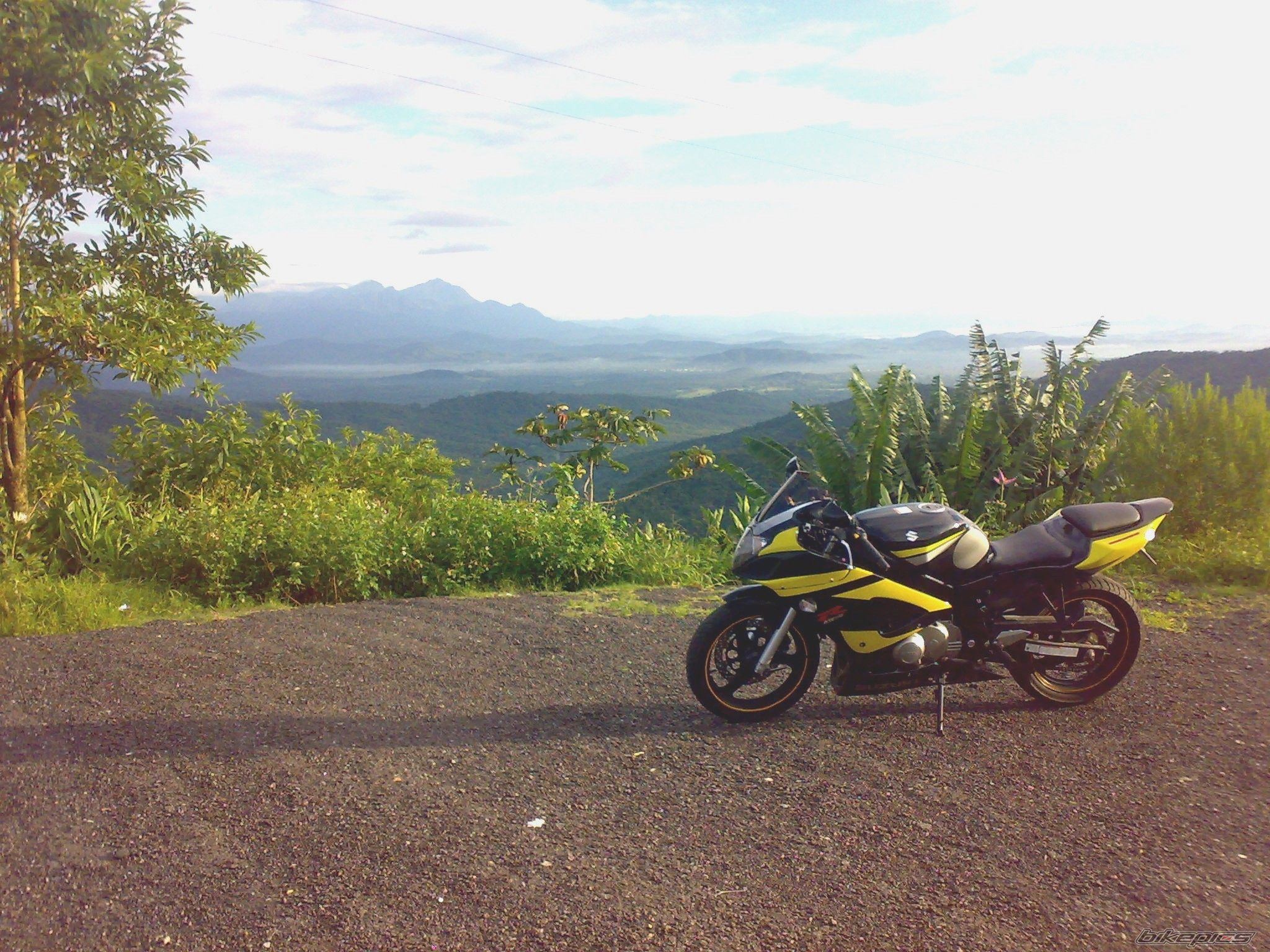 Photo 1643798
