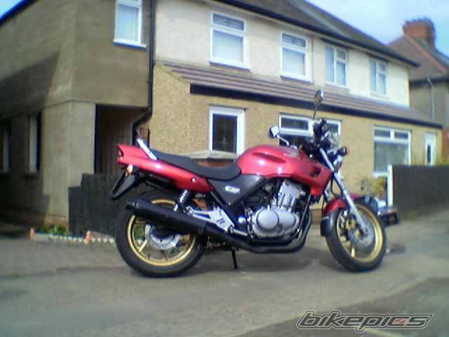 Photo 164383