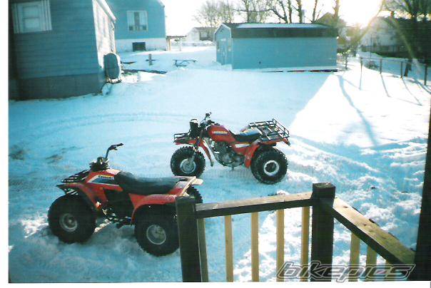 Photo 164395