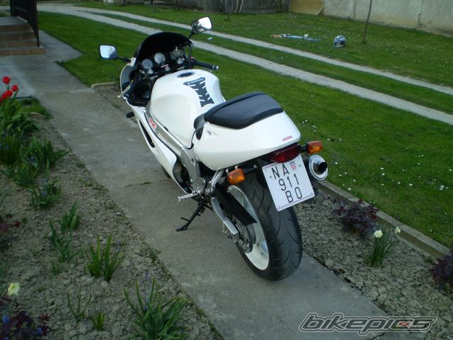 Photo 1643994