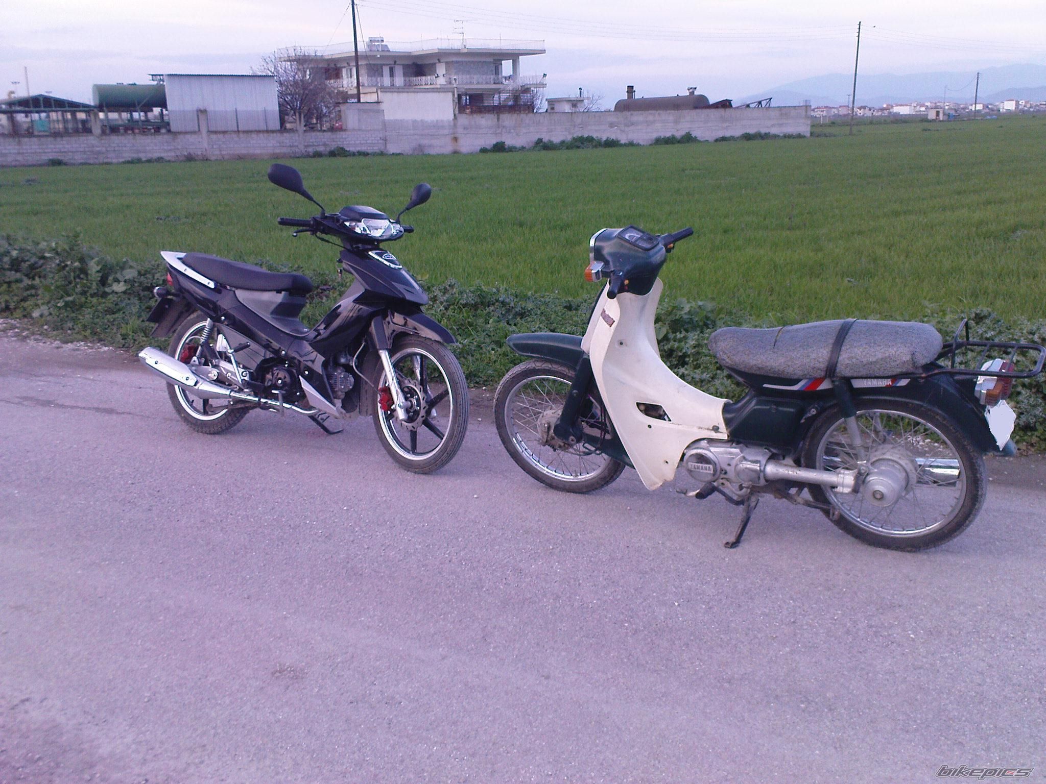 Photo 1644067