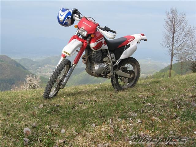Photo 1644098