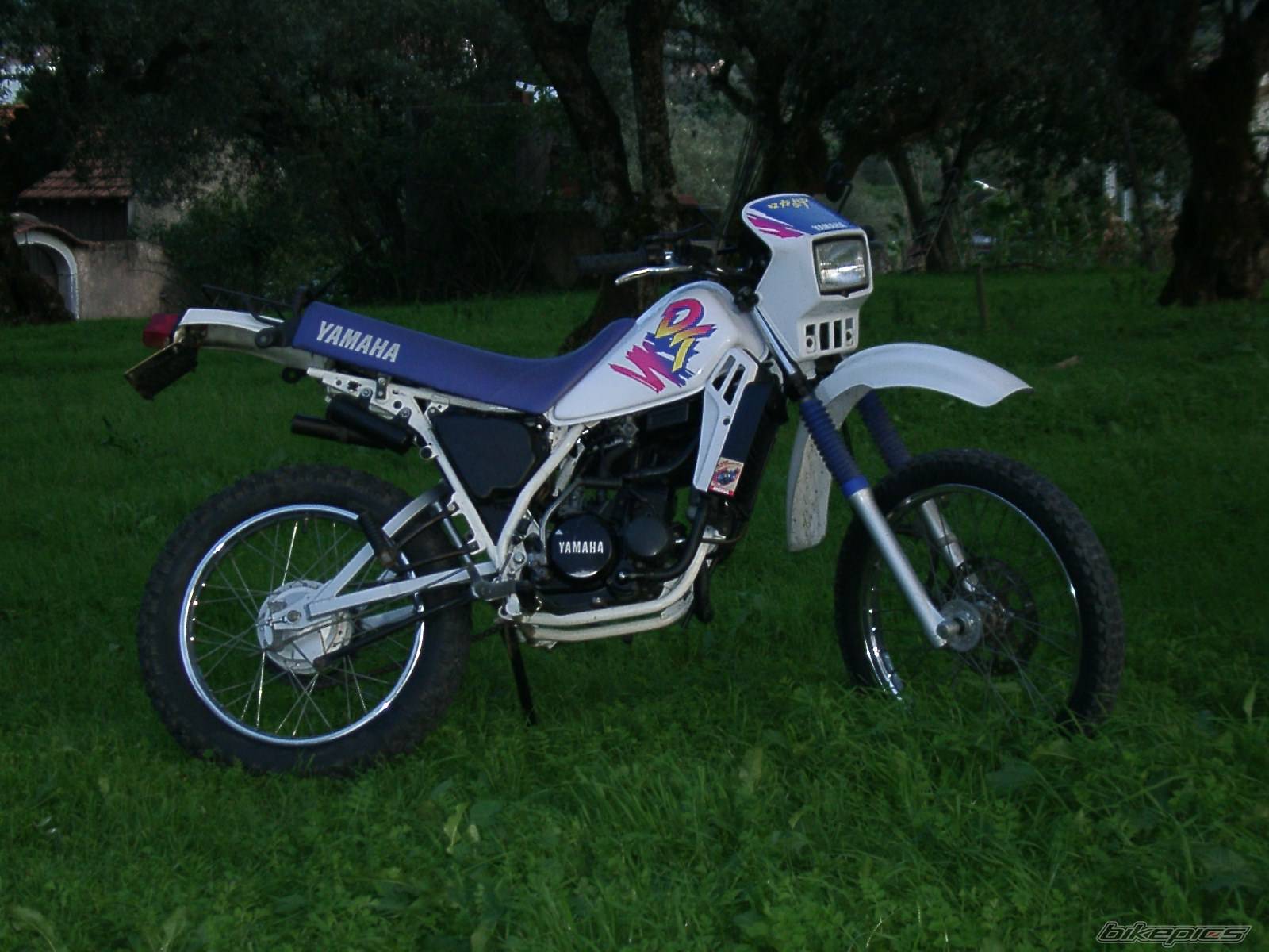 Photo 164413
