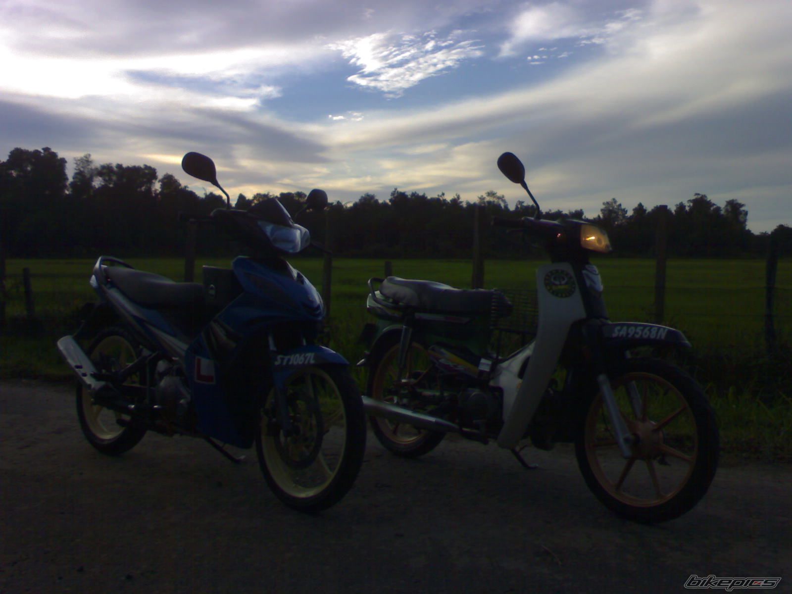 Photo 1644209