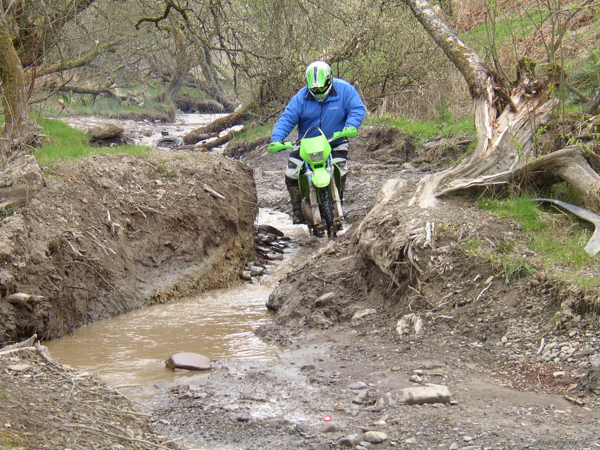 Photo 1644221
