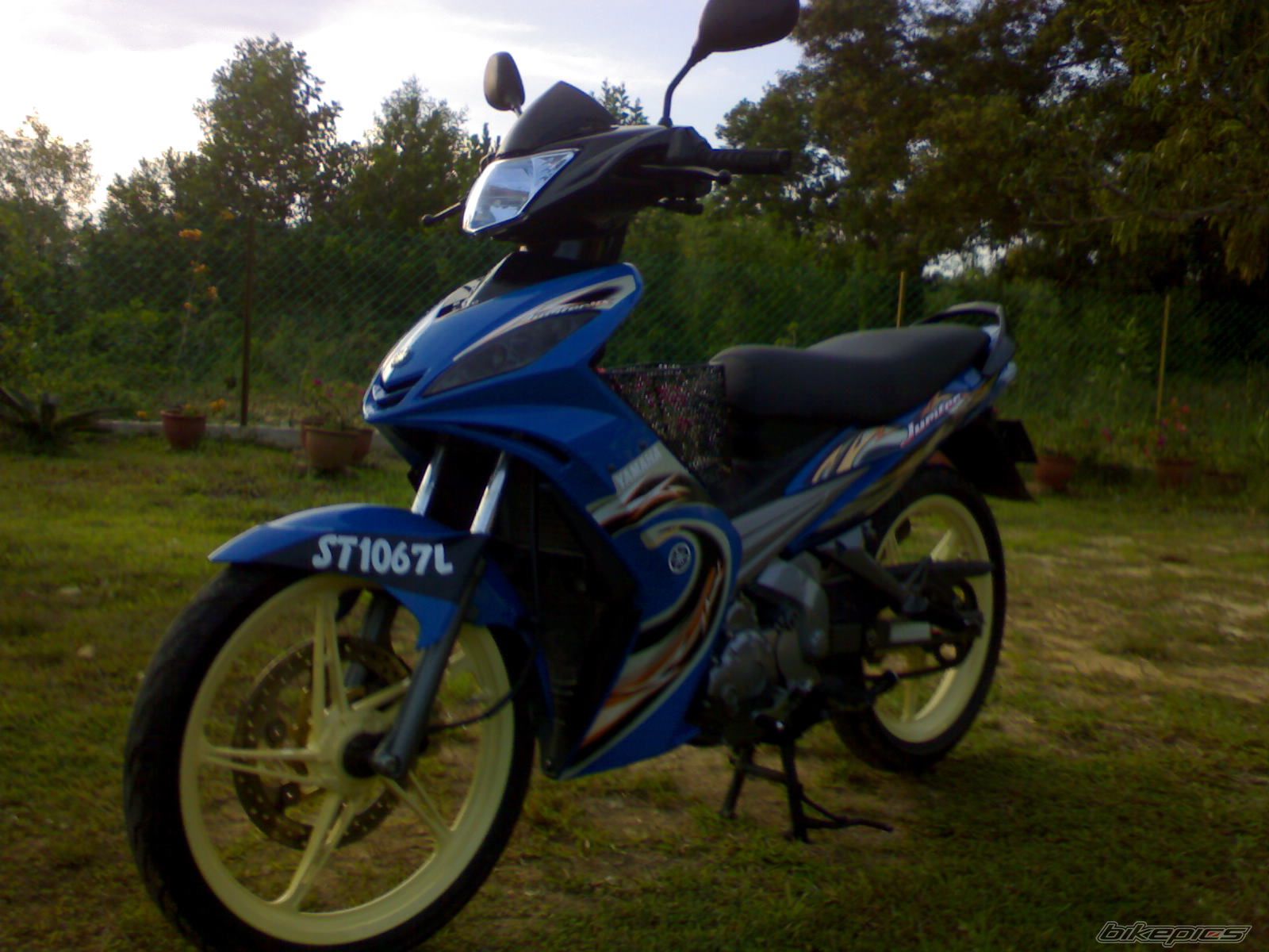Photo 1644227