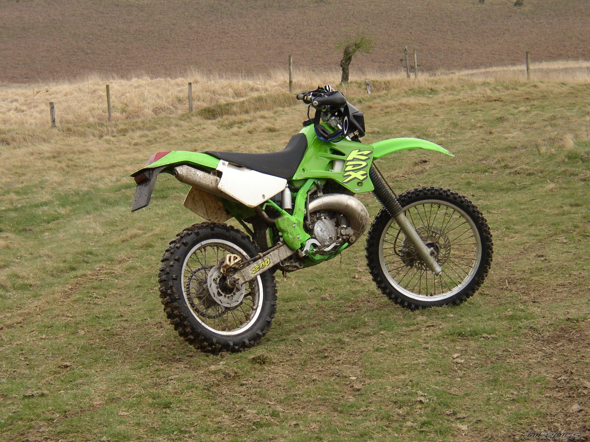 Photo 1644244