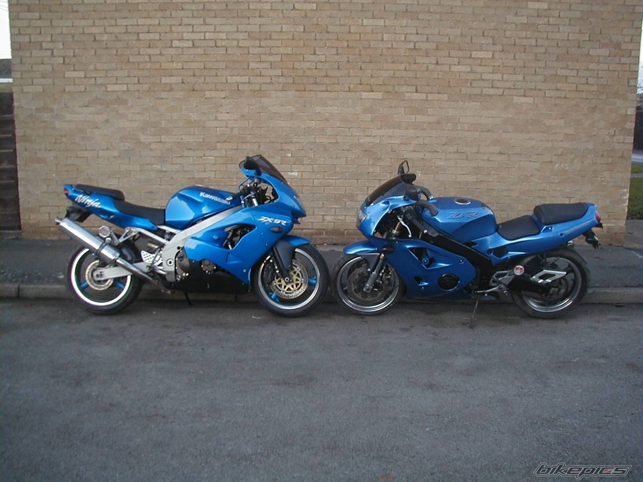 Photo 16444