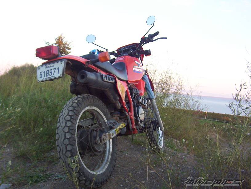 Photo 164446