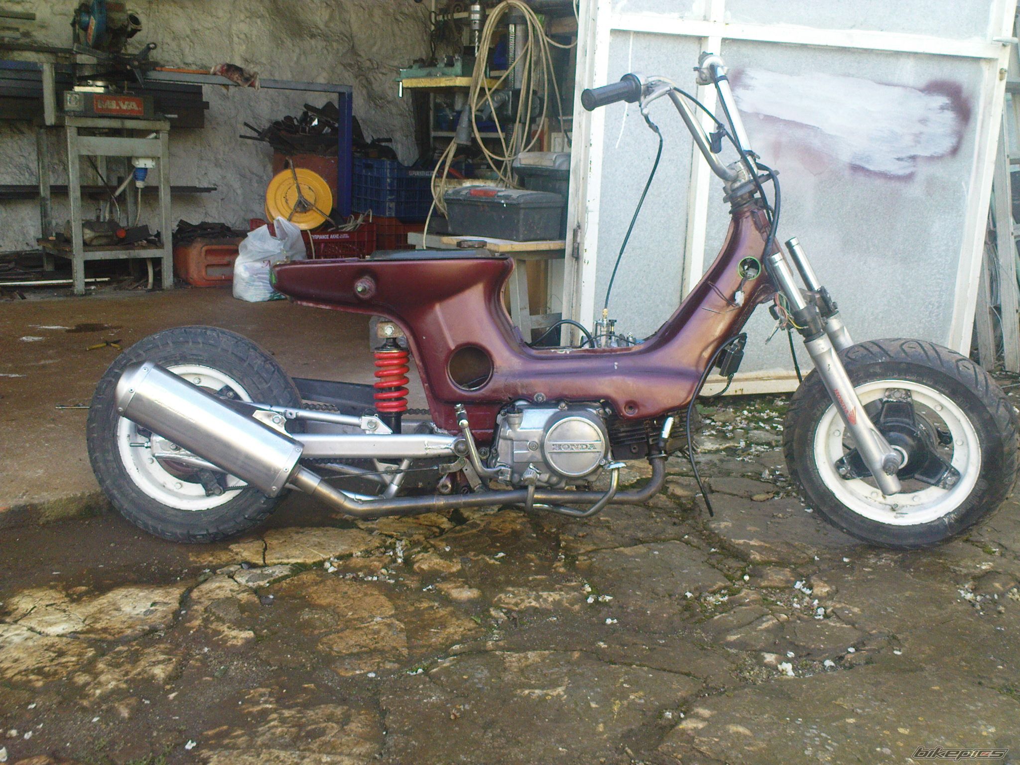 Photo 1644518