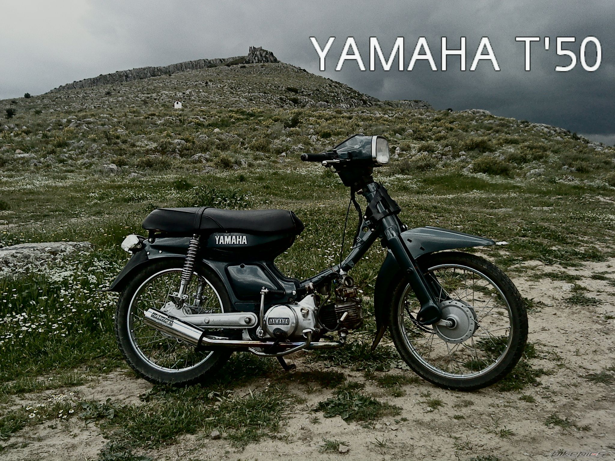 Photo 1644544