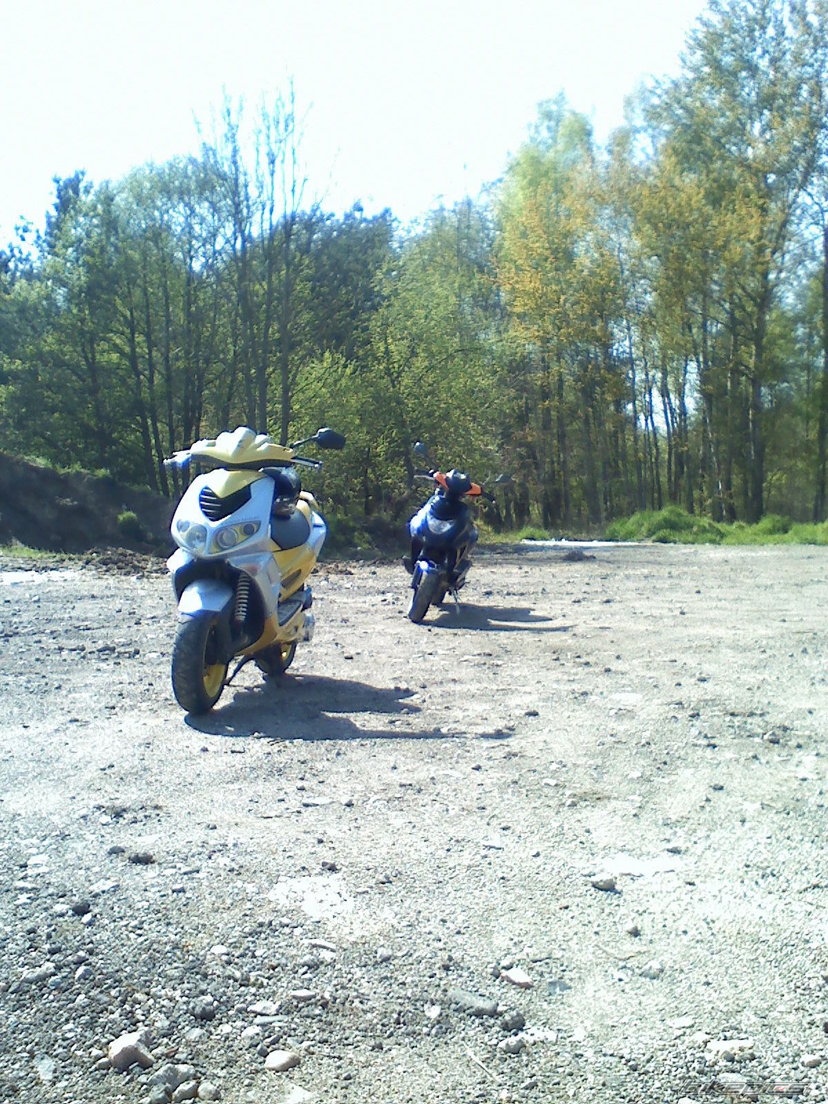 Photo 1644599